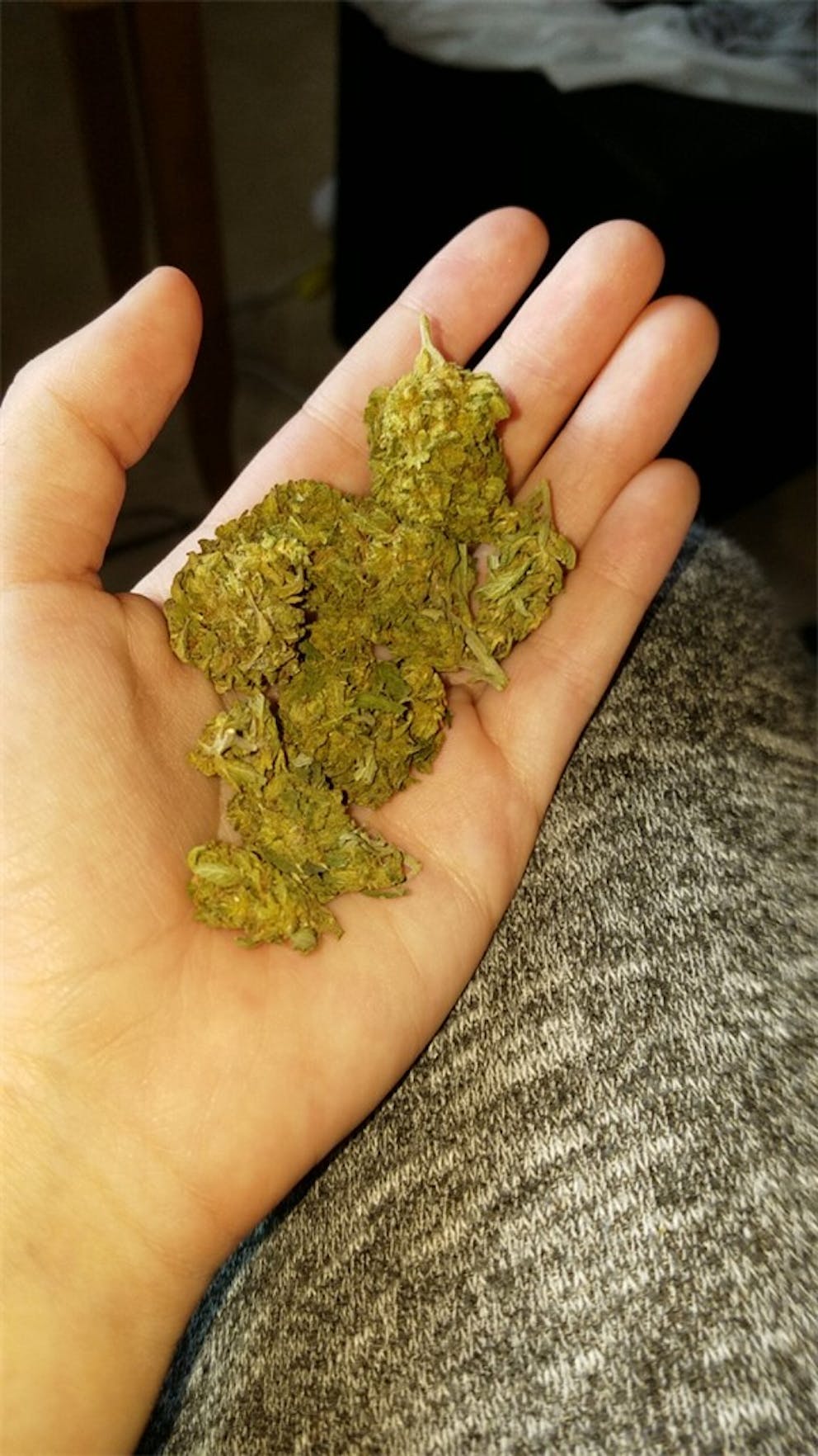 Photos of Orange Creamsicle Weed Strain Buds Leafly