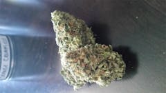 User uploaded image of Orange Creamsicle