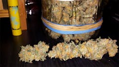 User uploaded image of Orange Creamsicle