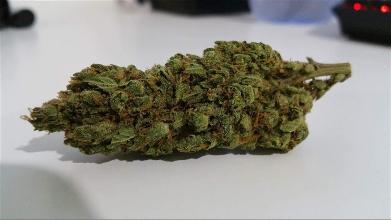 Orange Creamsicle Weed Strain Information Leafly