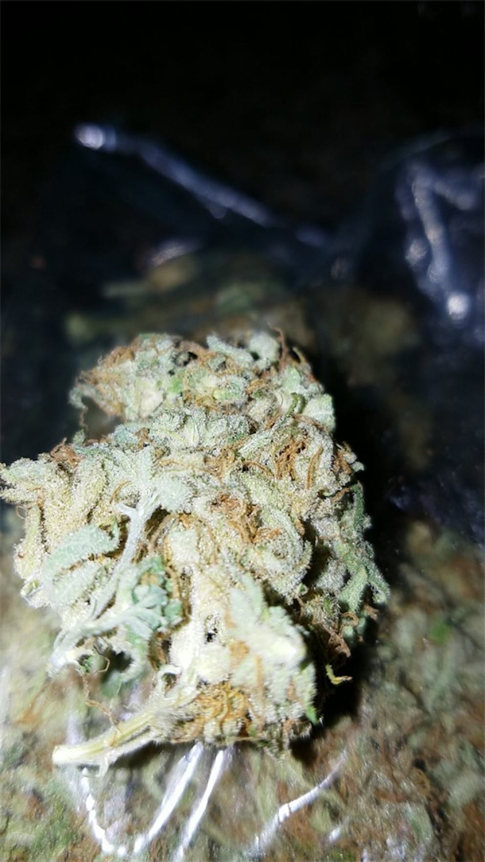 Photos of Orange Crush Weed Strain Buds Leafly