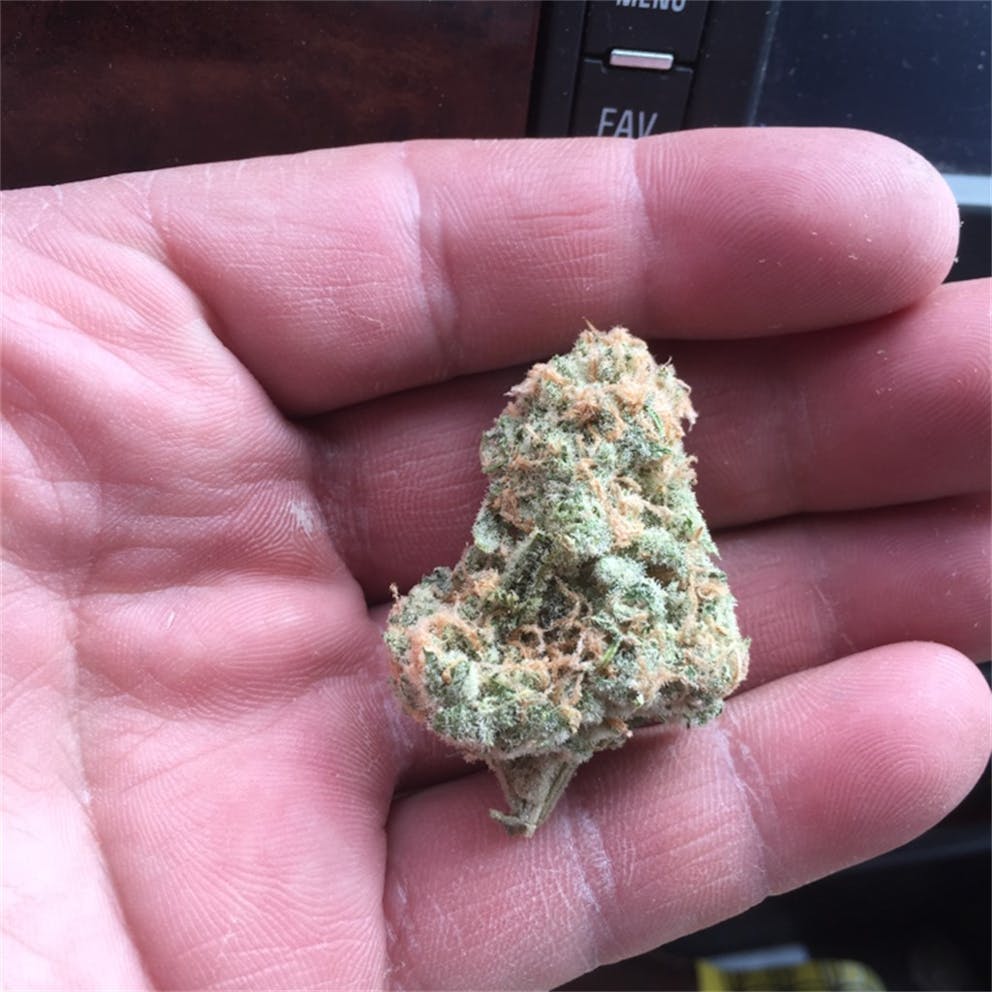 Photos of Orange Crush Weed Strain Buds Leafly