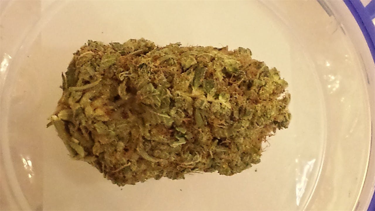 Orange Crush Weed Strain Information Leafly