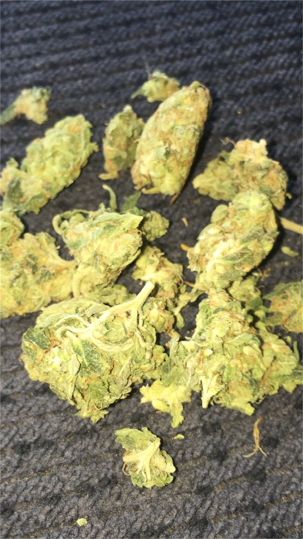 Photos of Orange Crush Weed Strain Buds Leafly