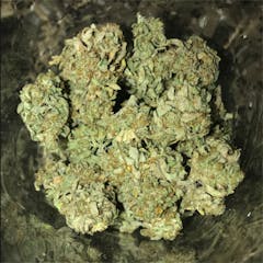 User uploaded image of Orange Crush