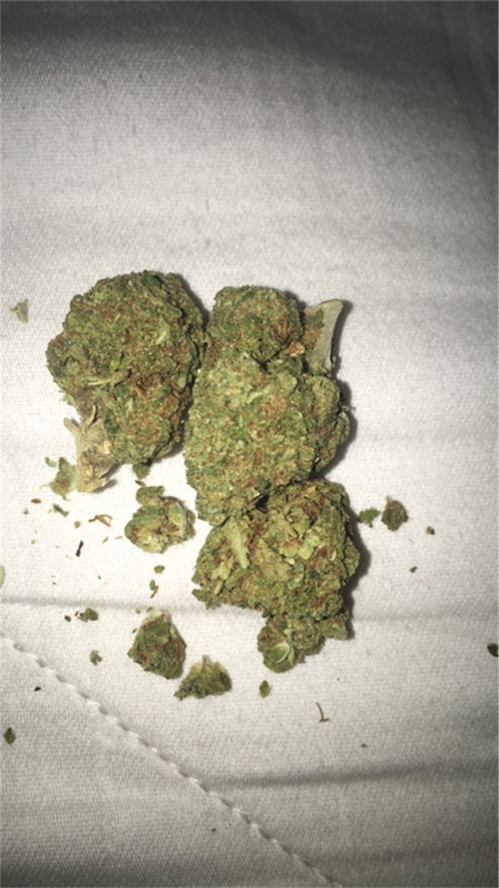Photos of Orange Crush Weed Strain Buds Leafly