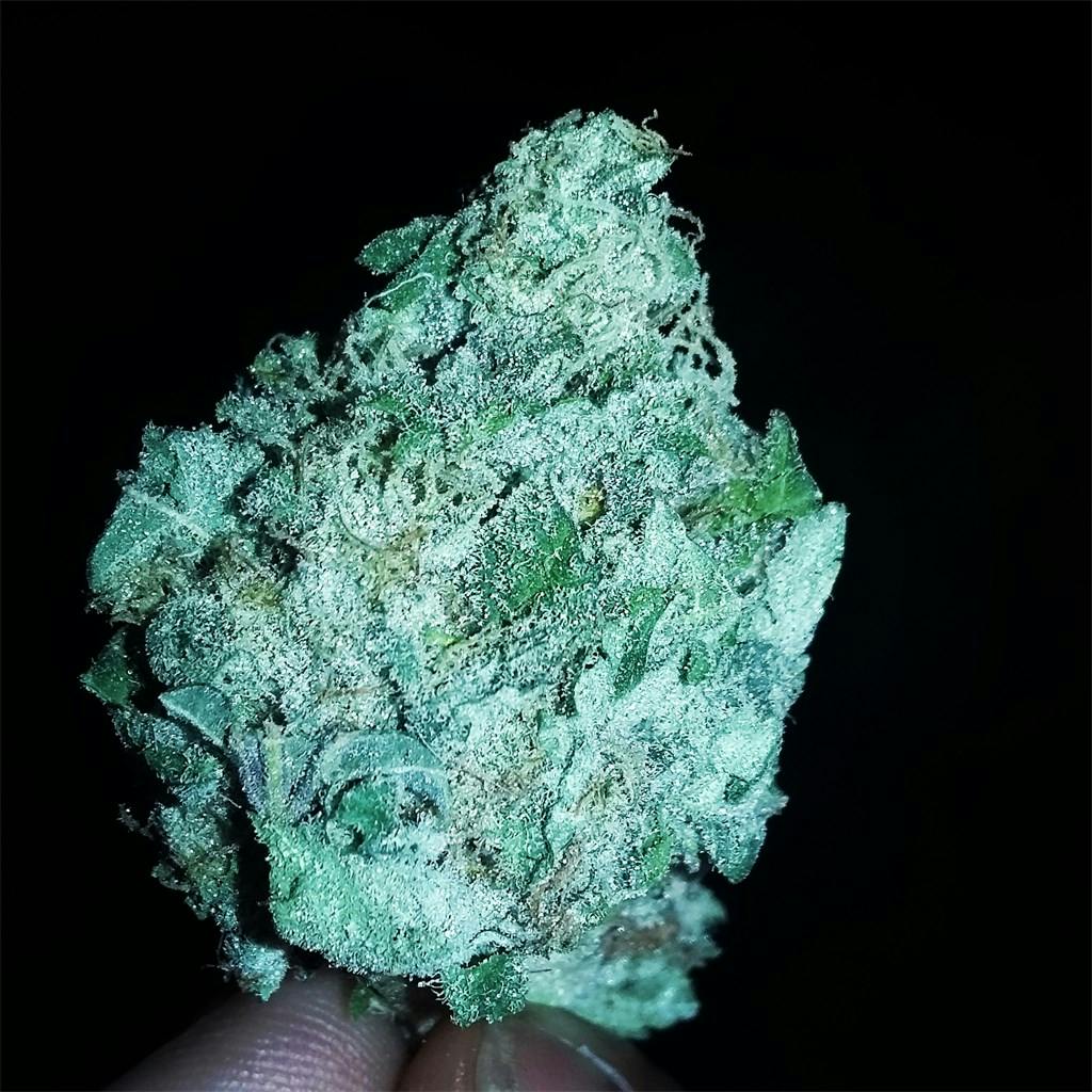 Orange Crush Weed Strain Information Leafly