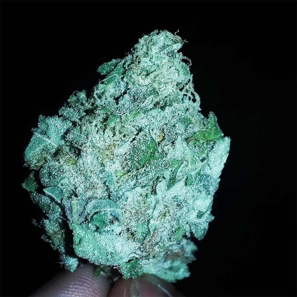 Photos of Orange Crush Weed Strain Buds Leafly