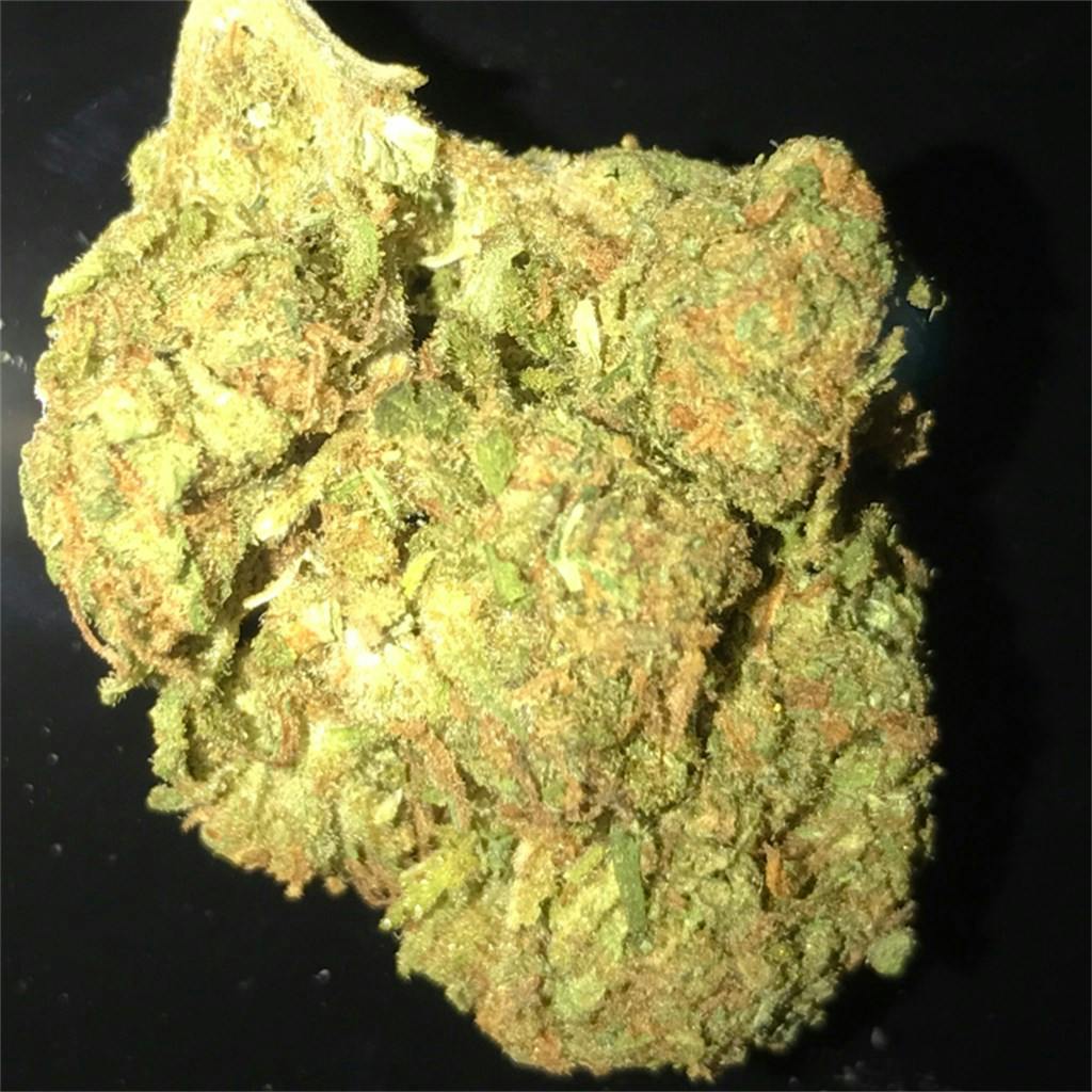 Orange Crush Weed Strain Information Leafly