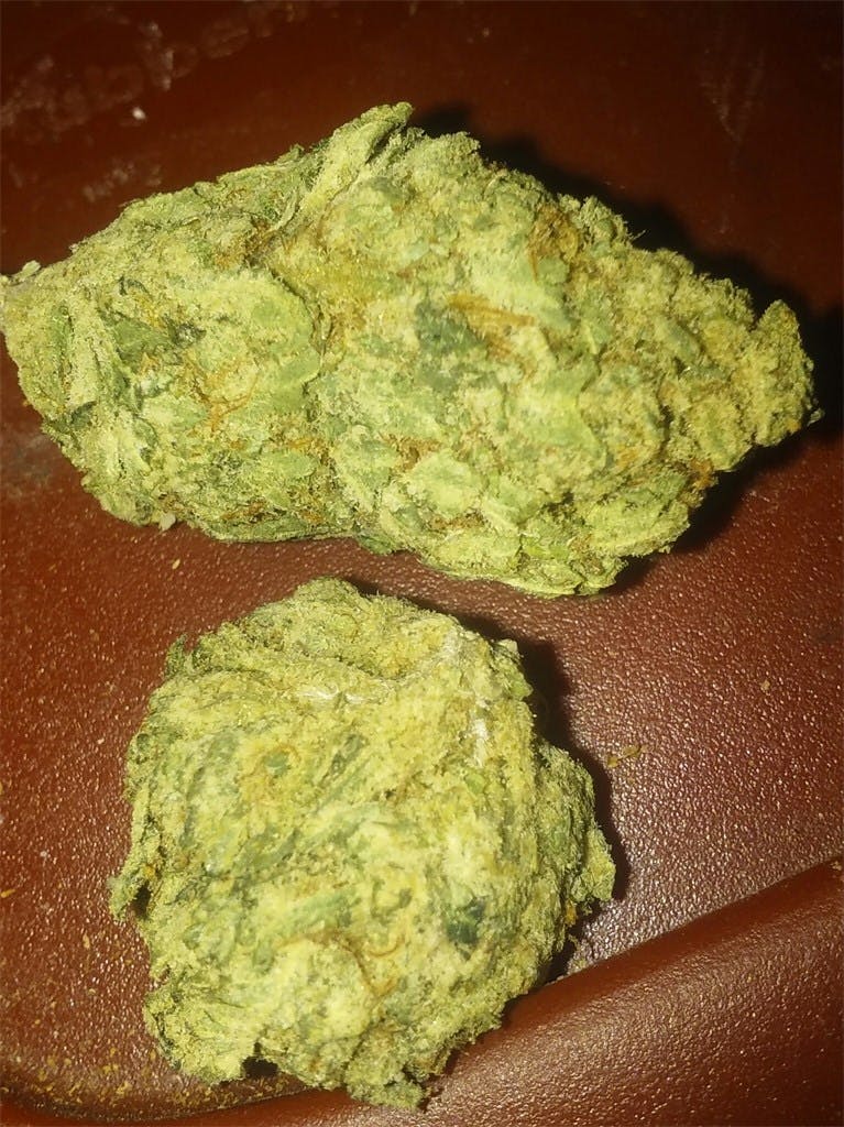 Photos of Orange Crush Weed Strain Buds Leafly