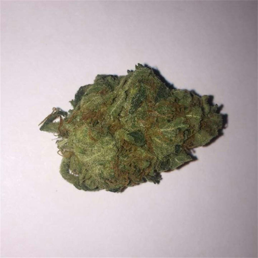 Orange Crush Weed Strain Information Leafly