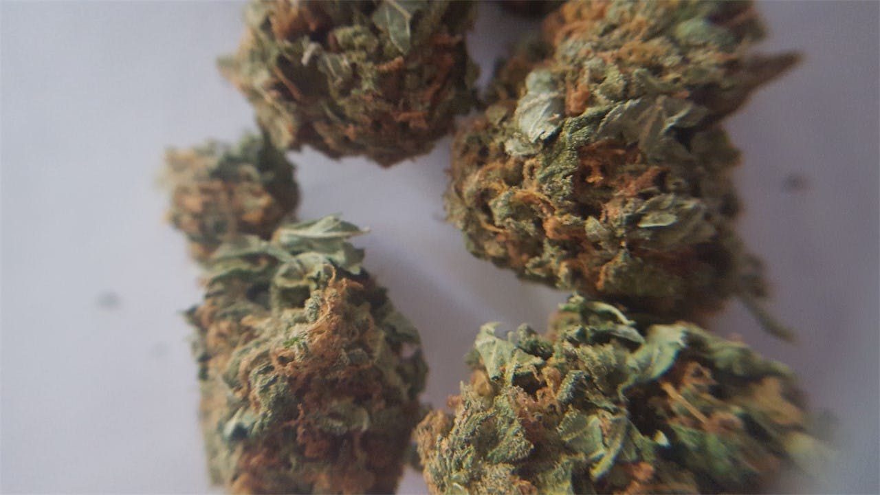 Photos of Orange Diesel Weed Strain Buds Leafly