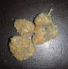 User uploaded image of Orange Diesel
