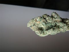 User uploaded image of Orange Diesel