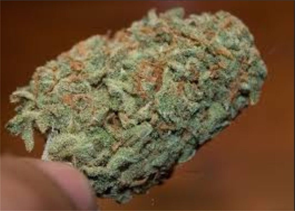 Photos of Orange Diesel Weed Strain Buds Leafly