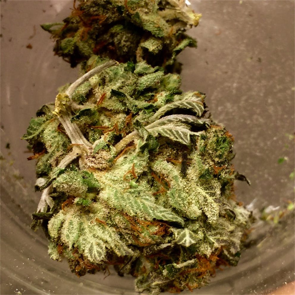 Photos of Orange Diesel Weed Strain Buds Leafly