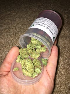 User uploaded image of Orange Diesel