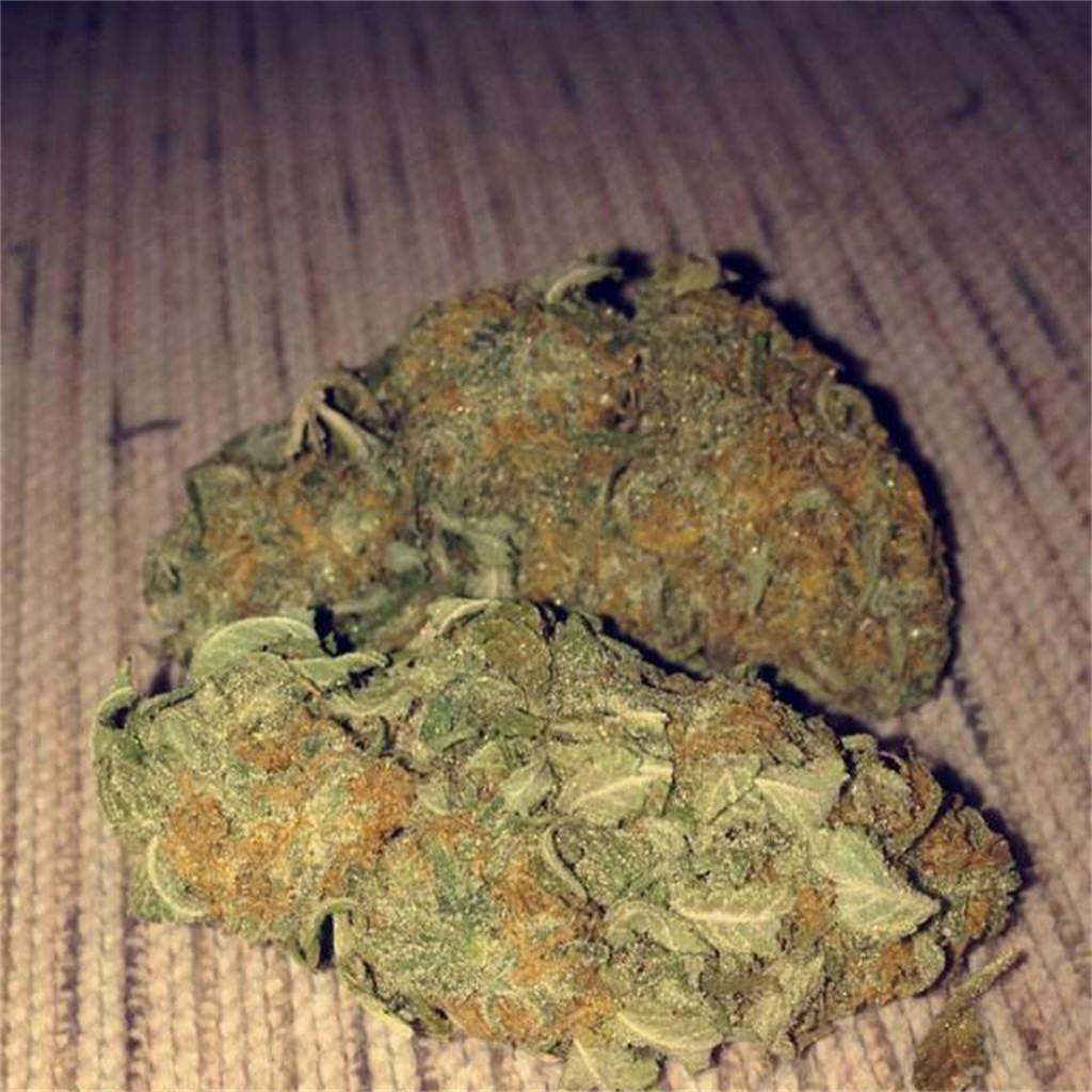 Orange Diesel aka Agent D, Agent Diesel Marijuana Strain Information