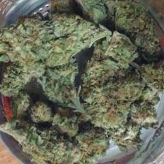User uploaded image of Orange Diesel