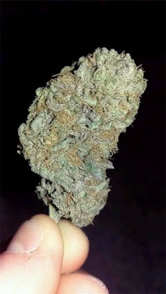 User uploaded image of Orange Dream