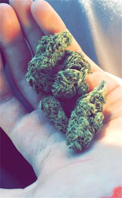 User uploaded image of Orange Dream