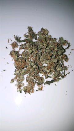 User uploaded image of Orange Dream