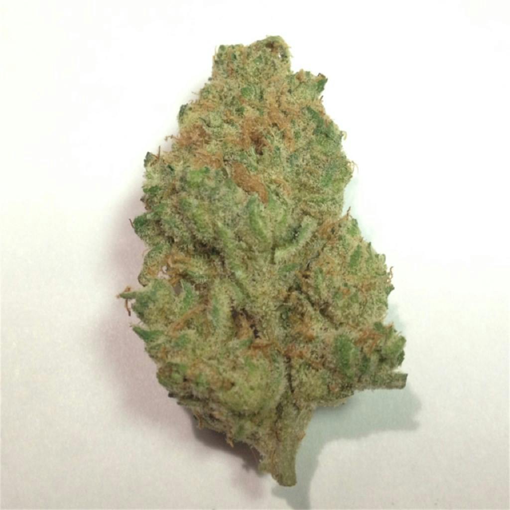 orange-haze-weed-strain-information-leafly