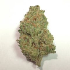 User uploaded image of Orange Haze
