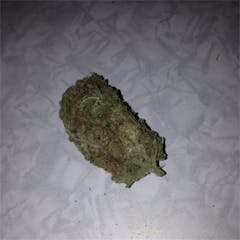 User uploaded image of Orange Haze