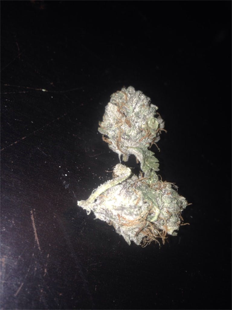 Orange Juice aka Orange Juice Kush, OJ Weed Strain Information Leafly