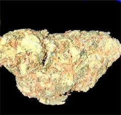 User uploaded image of Orange Juice