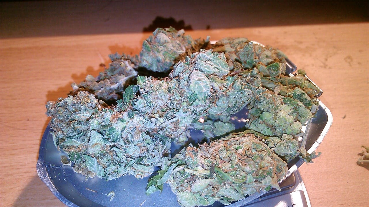 Orange Juice aka Orange Juice Kush, OJ Weed Strain Information Leafly