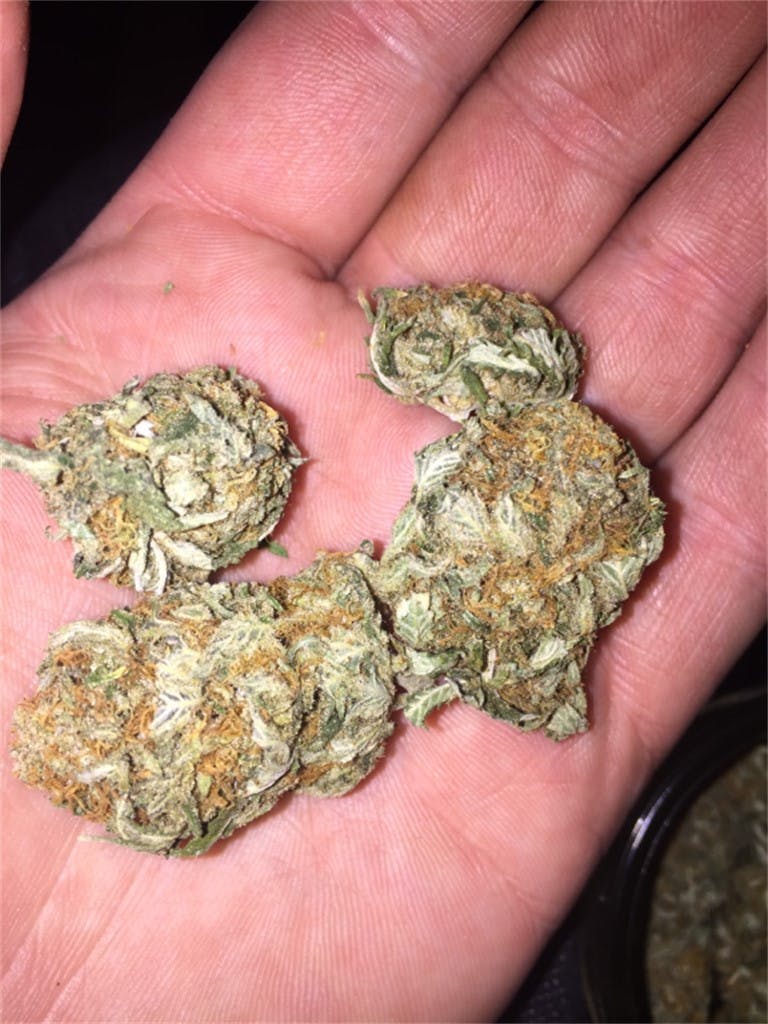 Orange Juice aka Orange Juice Kush, OJ Weed Strain Information Leafly
