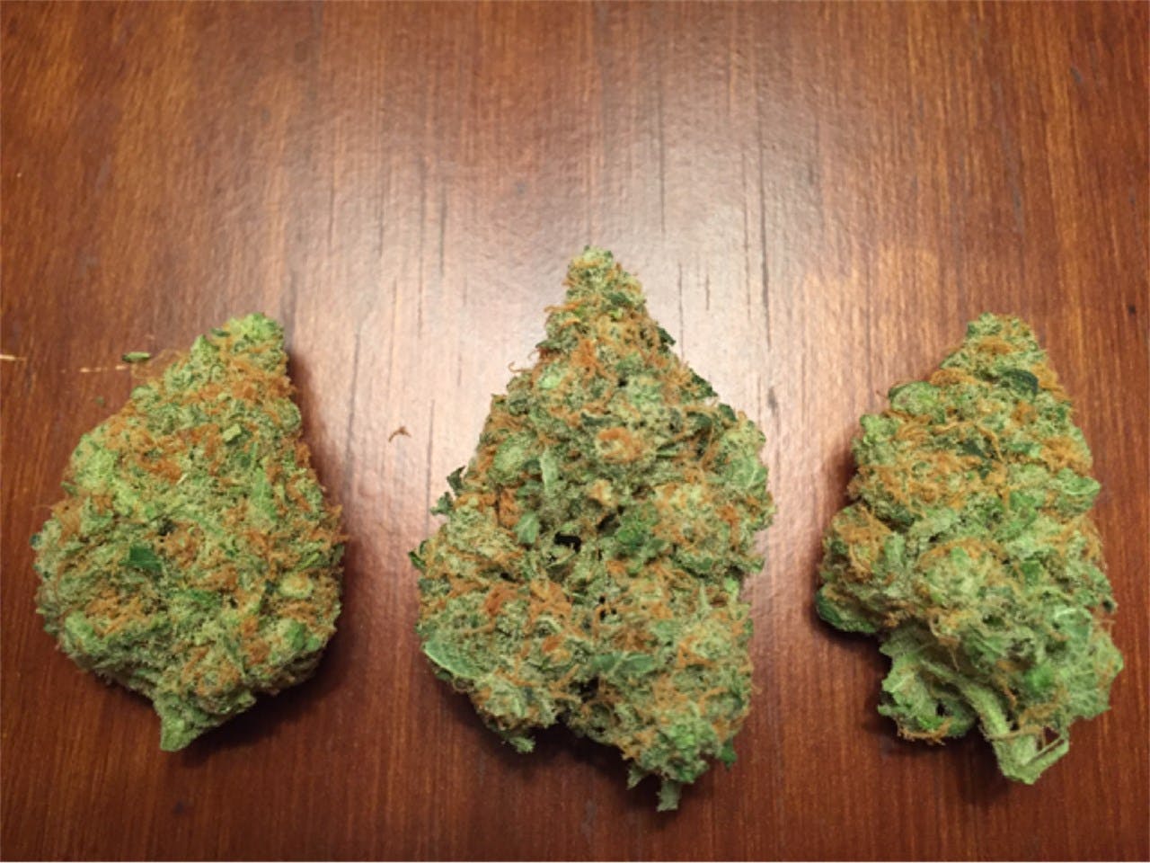 Photos of Orange Kush Weed Strain Buds Leafly