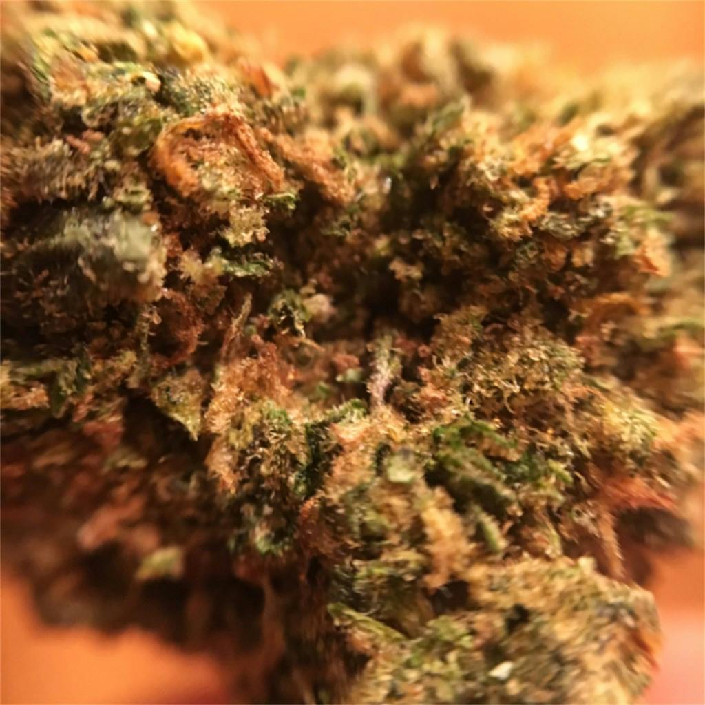 Photos of Orange Kush Weed Strain Buds Leafly