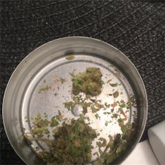 User uploaded image of Orange Kush