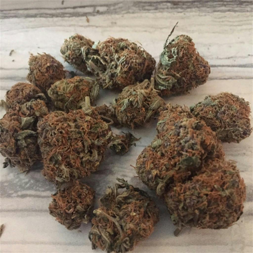 Photos of Orange Kush Weed Strain Buds Leafly