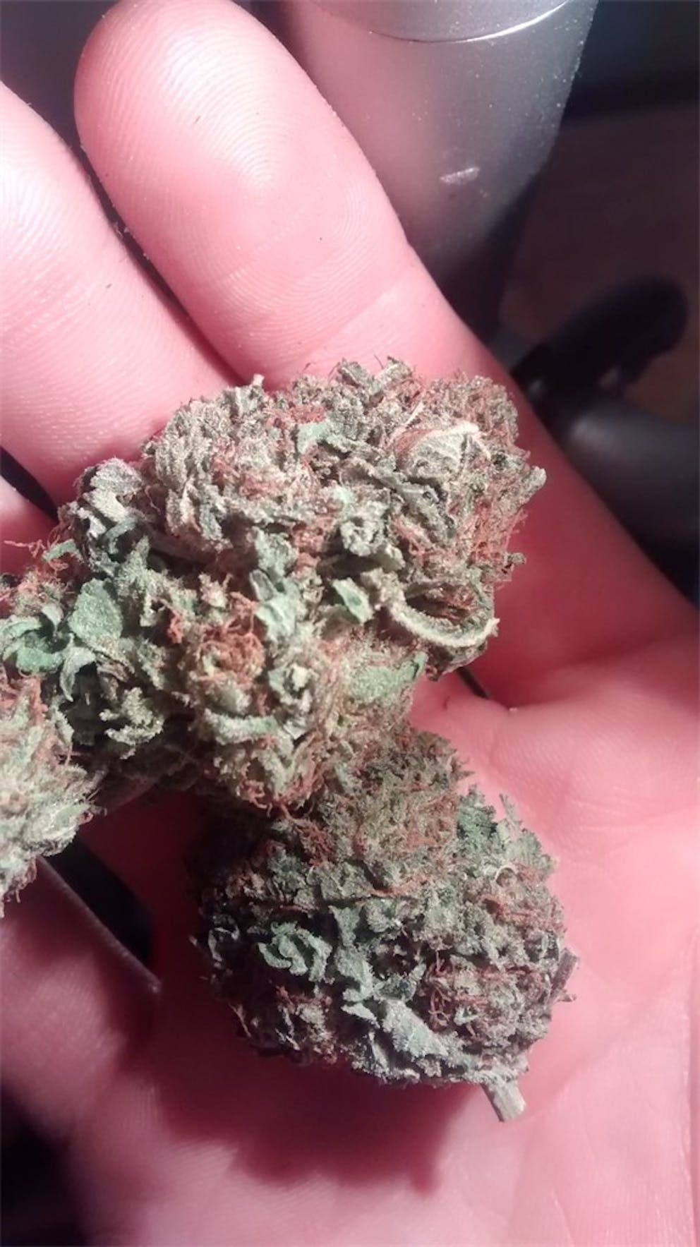Photos of Orange Kush Weed Strain Buds Leafly