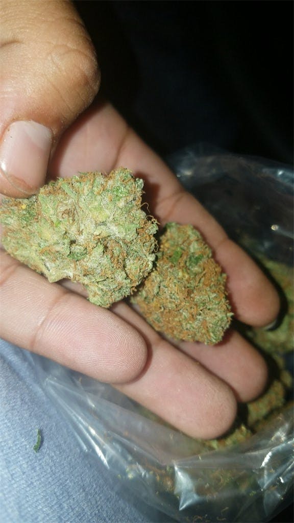 Photos of Orange Kush Weed Strain Buds Leafly