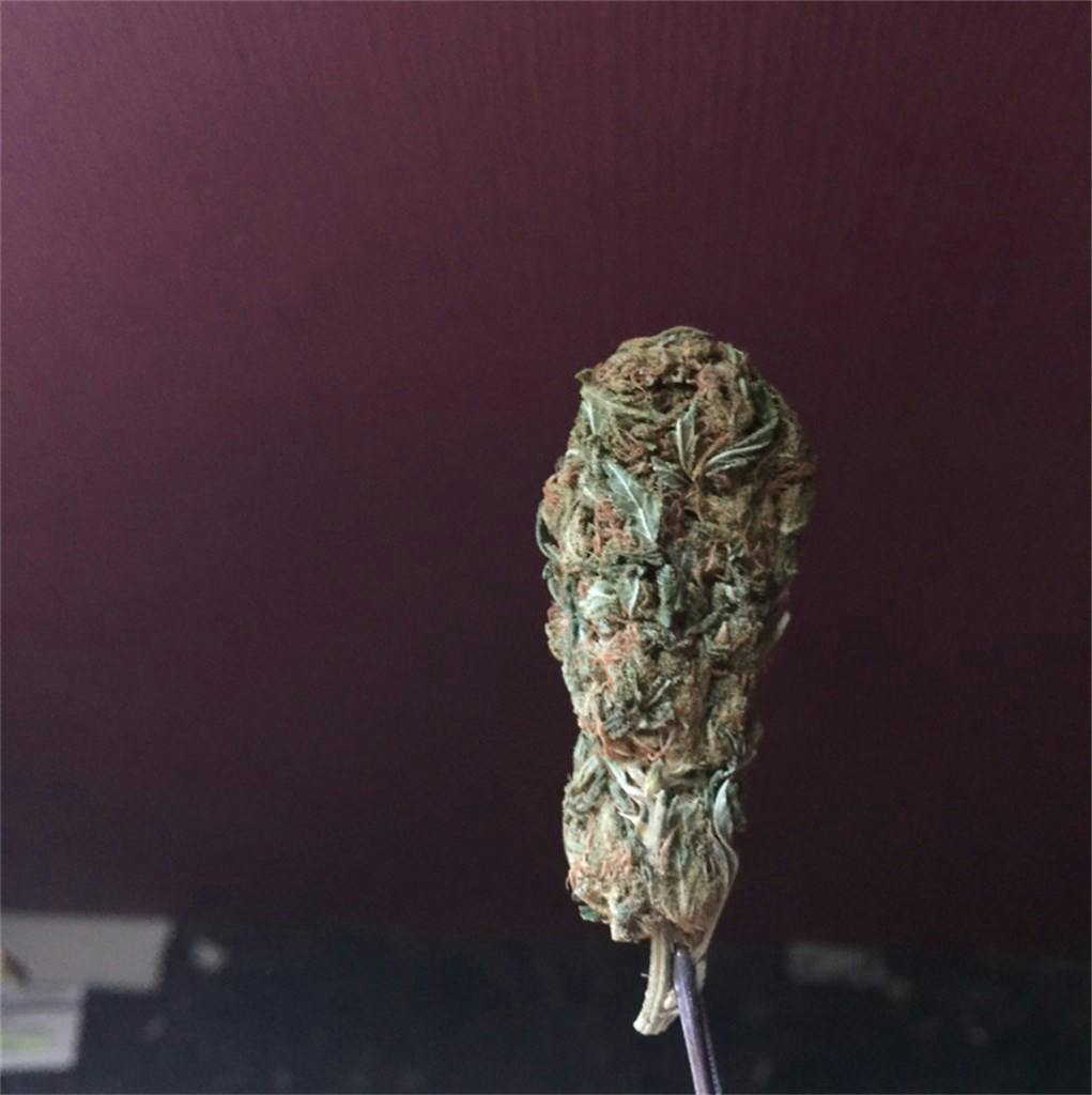 Orange Kush aka Orange OG Weed Strain Information Leafly