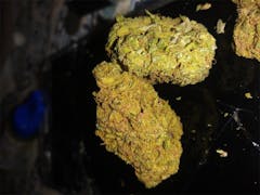 User uploaded image of Orange Kush