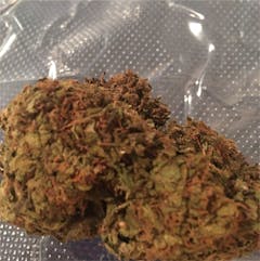 User uploaded image of Orange Romulan