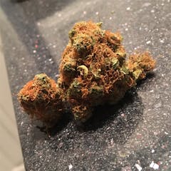 User uploaded image of Orange Skunk
