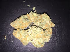 User uploaded image of Orange Skunk