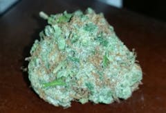 User uploaded image of Orange Skunk