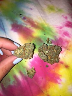 User uploaded image of Orange Skunk
