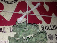 User uploaded image of Orange Turbo