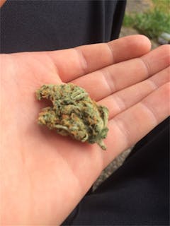 User uploaded image of Orange Turbo