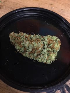 User uploaded image of Orange Velvet