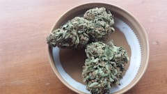 User uploaded image of Orange Velvet